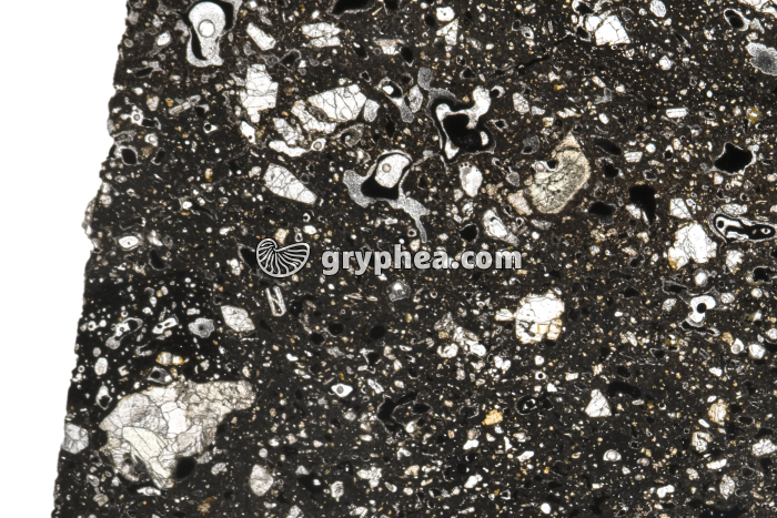 Basalte LPNA x3 - gryphea.org